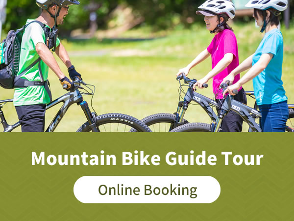 Mountain bike guided tour